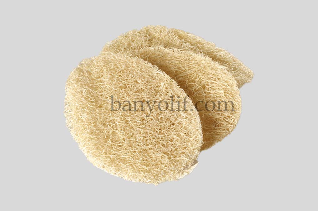Loofah 3Lü Disk Peeling 2004 - BATI KOZMETİK